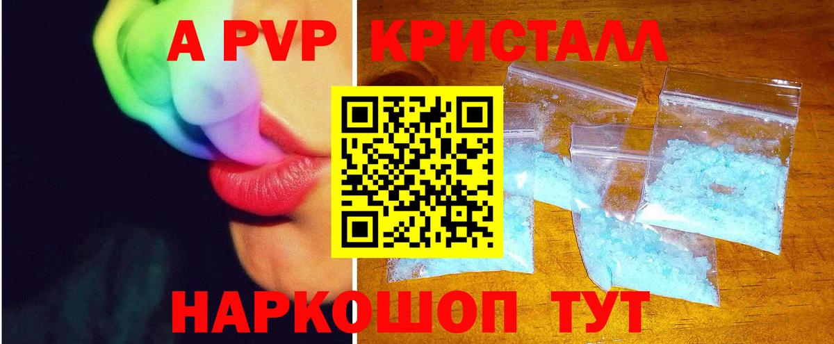 A PVP СК КРИС Саранск