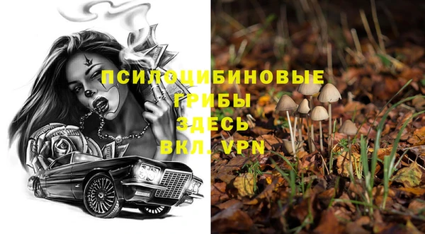 спиды Кинешма